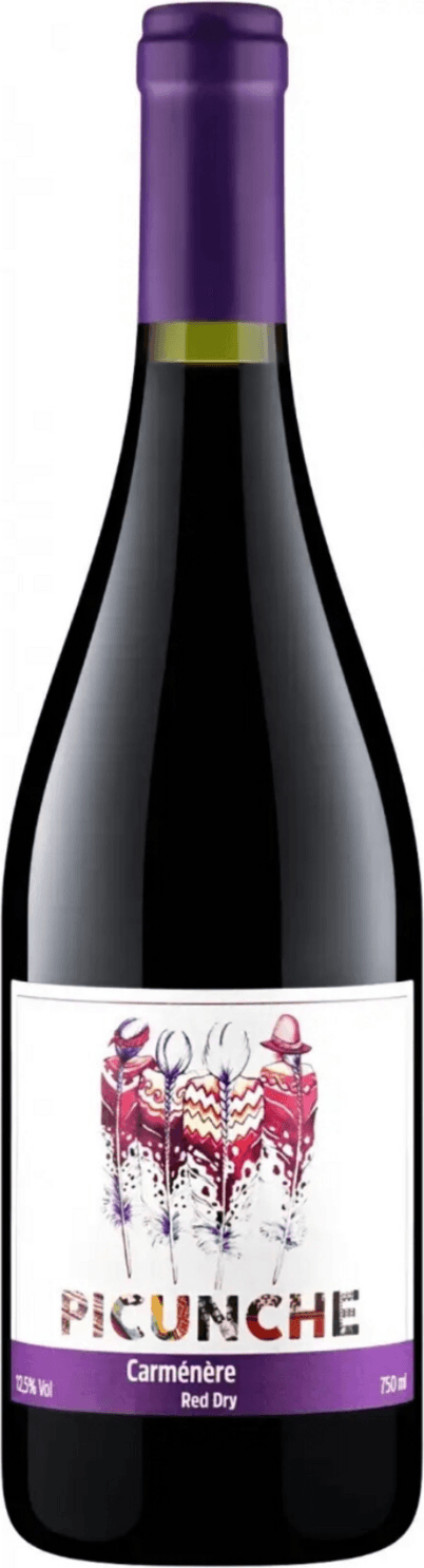 Пикунче Карменер Валье Сентраль, Bodegas y Vinedos de Aguirre